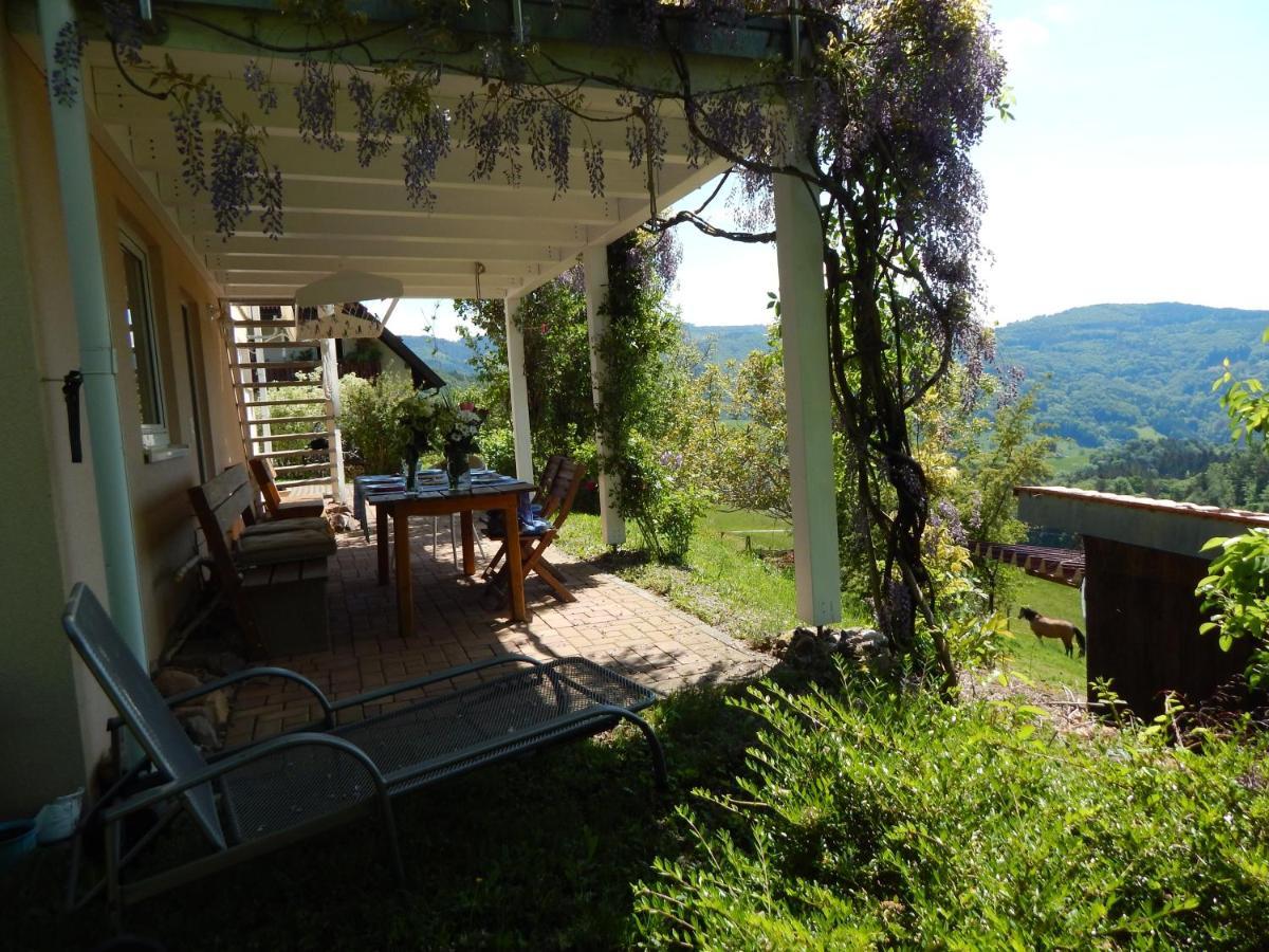 Schwedenhaus Raich Apartment Kleines Wiesental